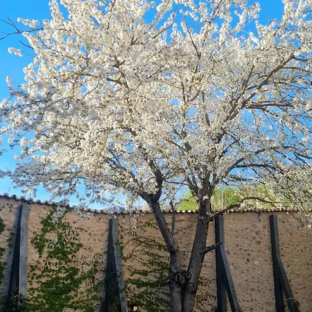 Palazzo Pirro Dimora Storica Acciano