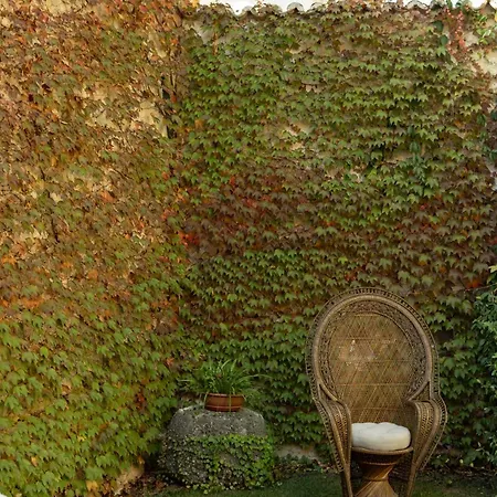 Palazzo Pirro Dimora Storica 住宿加早餐酒店 4*