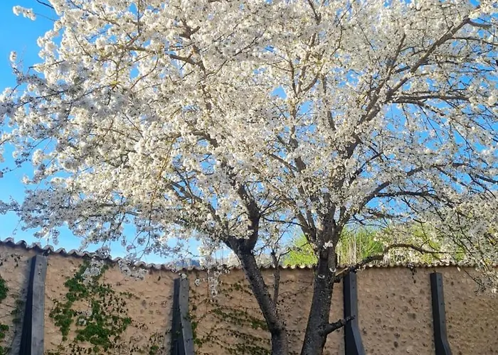 Palazzo Pirro Dimora Storica Acciano